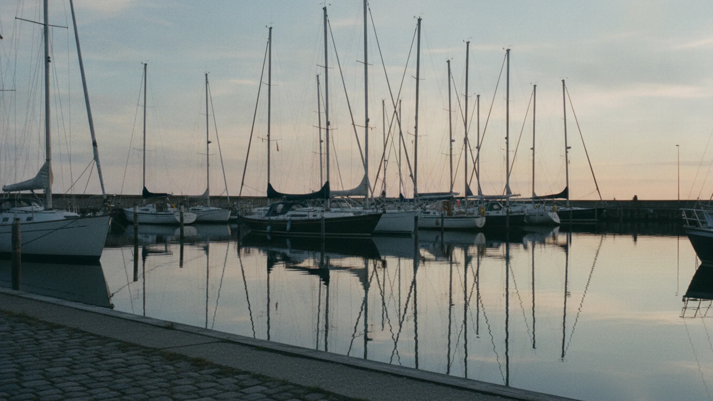Sejlbåde i en lystbådehavn i aftenlys, med masterne spejlet i det stille vand.